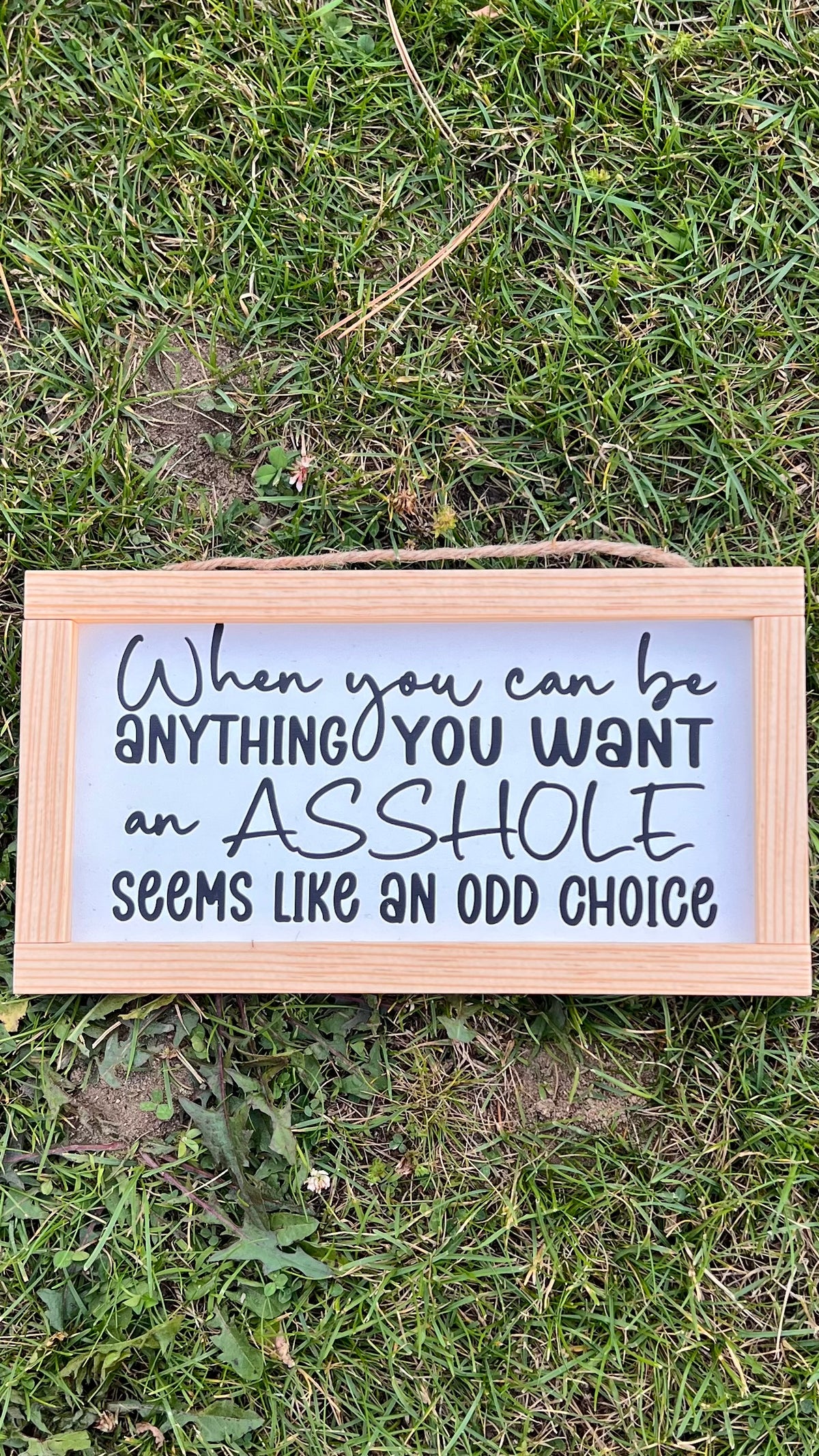 When You Can be Anything in Life, an Asshole Seems Like an Odd Choice